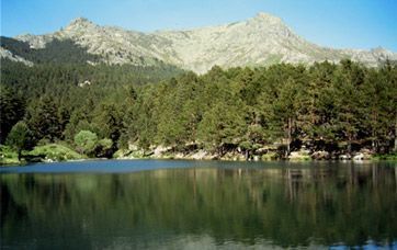 entorno