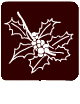 acebo1