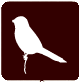 alcotan3