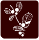 arraclan