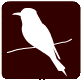 abejaruco