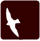 avion3