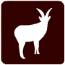 cabra