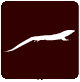 lagarto verdinegro