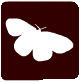 mariposa