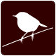 mosquitero1