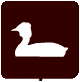somormujo1