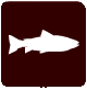 trucha1
