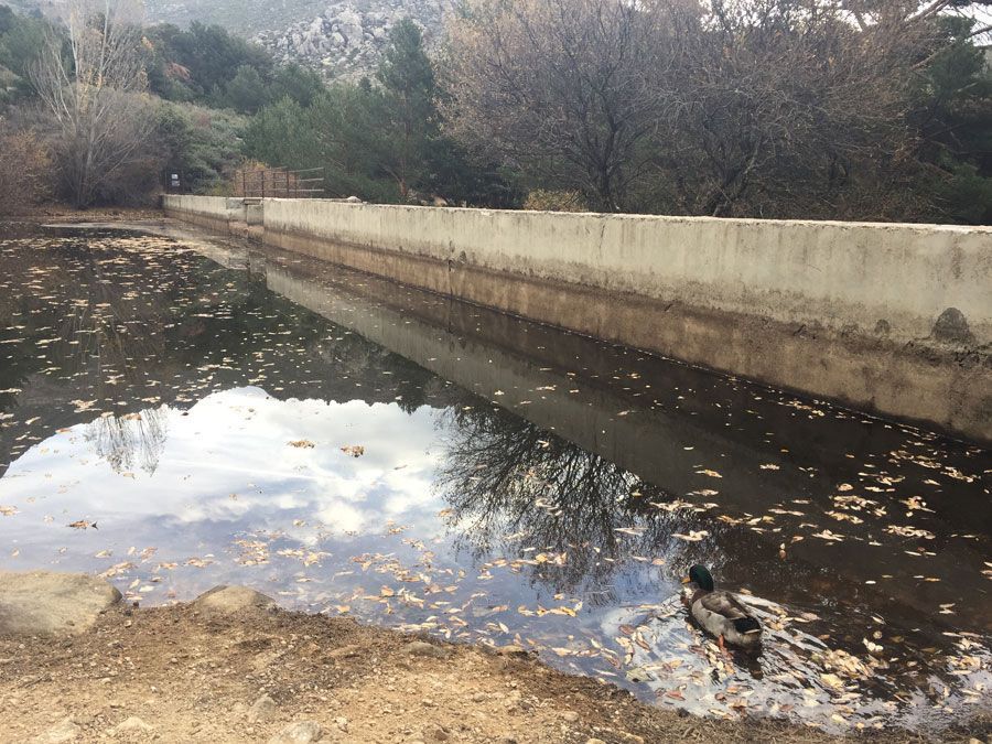 faltadeagua