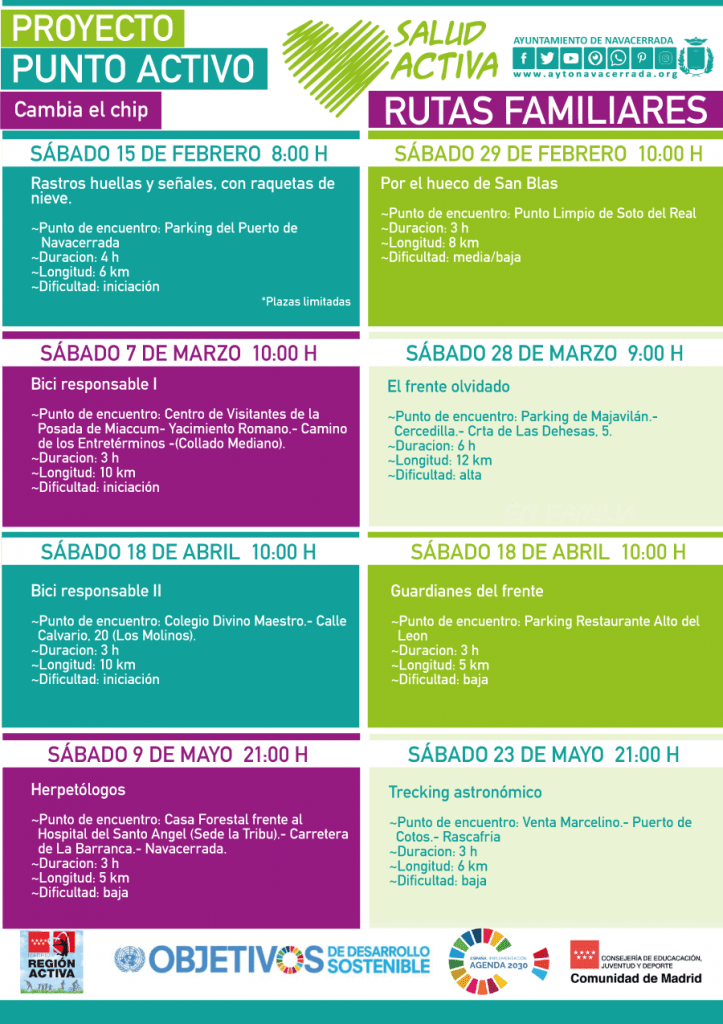 +saludactiva web