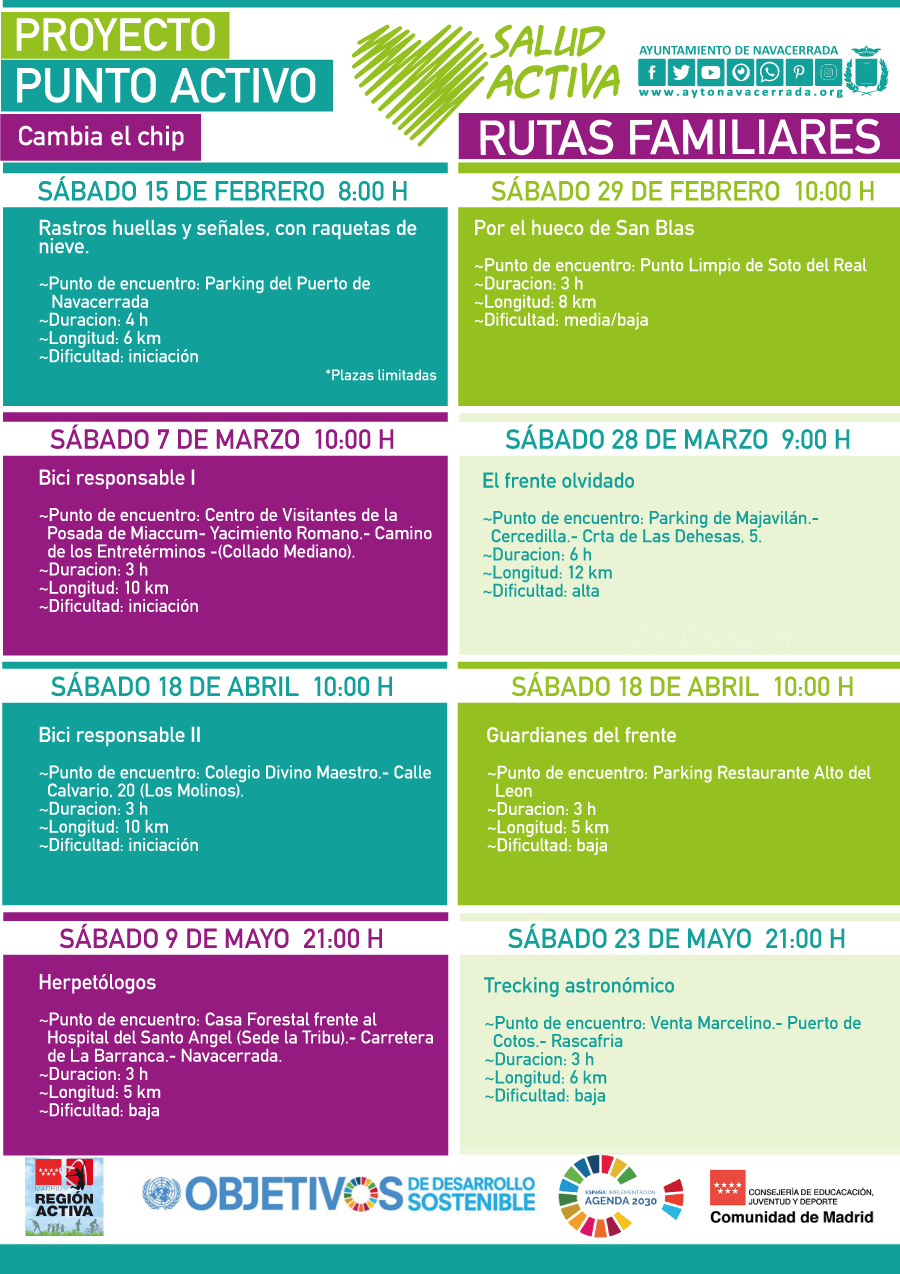 +saludactiva web