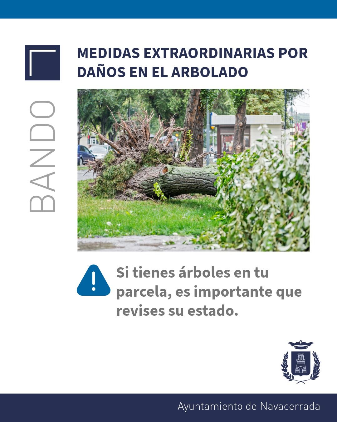 Si tienes árboles en tu parcela, es importante que revises su estado.