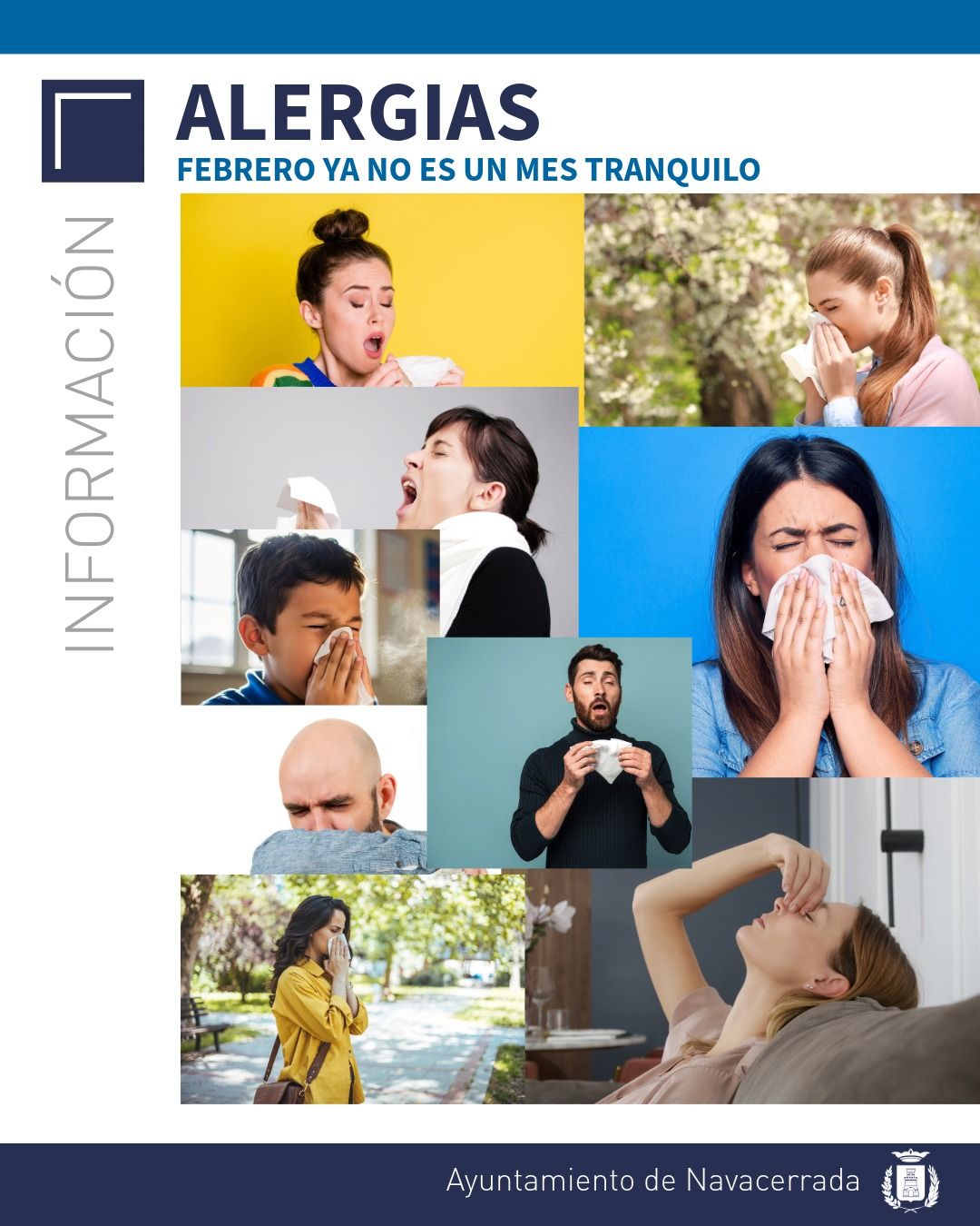 Anticípate a la alergia y recibe avisos de polen en tu móvil