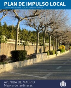 renovación y acondicionamiento de las jardineras de la Avenida de Madrid