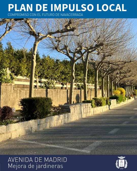 renovación y acondicionamiento de las jardineras de la Avenida de Madrid