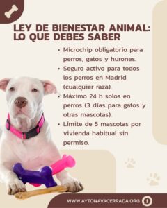 Ley de Bienestar Animal: