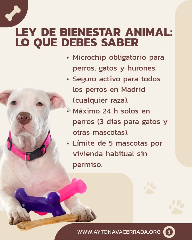Ley de Bienestar Animal: