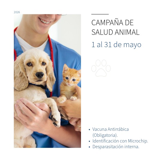 Seguridad: El microchip aumenta en un 40% las posibilidades de encontrar a tu mascota si se pierde.Salud Pública: La vacunación crea una barrera contra la rabia, protegiendo también a tu familia.Legalidad: Mantén al día la documentación y el censo municipal de tu compañero.